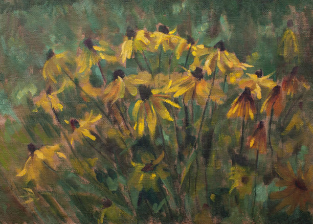 时尚的插画现代艺术作品花我的原始油画在画布上印象派水平的夏季景观盛开在一个床上的鲁德贝克亚在绿色的草的茎和花蕾花园植物的叶子图片下载