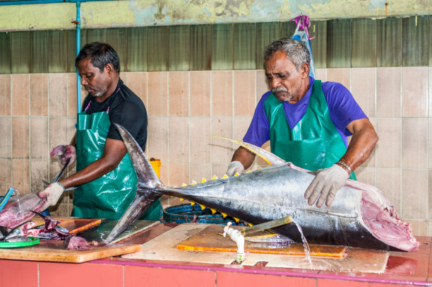 马尔代夫首都马累市的鱼市上出售的鱼图片下载