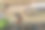 洗衣工作正在瓦拉纳西加特进行。图片下载