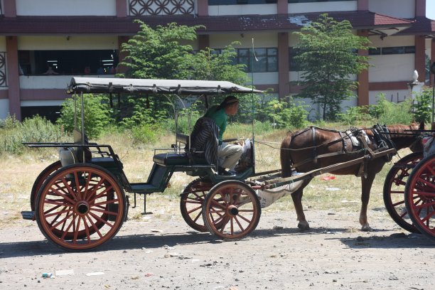 多卡尔是爪哇的传统交通工具图片下载