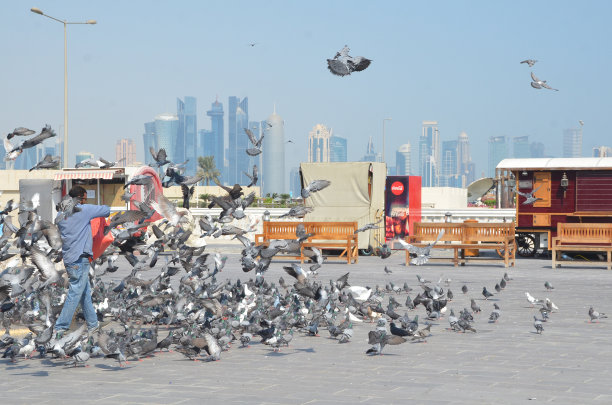 男子在瓦其夫市场喂鸽子图片下载