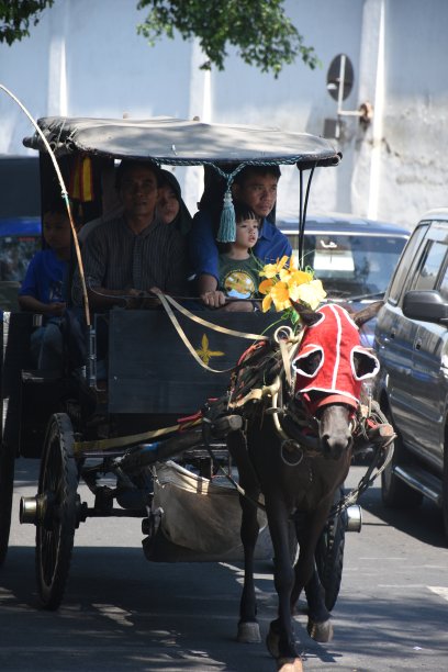 多卡交通在交通密度中行驶图片下载