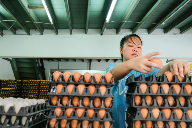 一个亚洲女孩在当地商店卖鸡蛋。图片下载