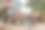 上午在印度火车站平台上的牛奶行业采购配送视图。奶商用掺水的方法进行人工脂肪检测。2019年5月，印度北方邦图片下载