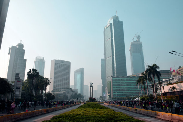 雅加达公交车道，绿意盎然图片下载