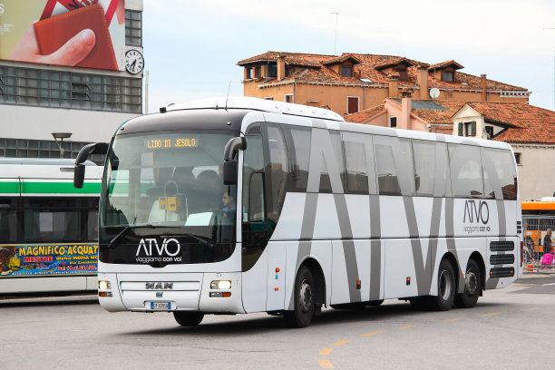 MAN R08狮子的顶级教练图片下载