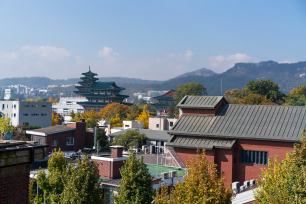 10月24日，韩国首尔，京福宫。当日，韩国首尔，一处著名的旅游景点“秋叶黄红叶”在京福宫亮相。图片下载