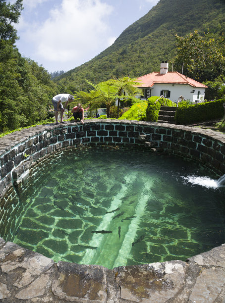 马德拉的鳟鱼养殖场图片下载