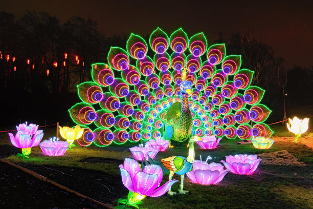在中国的灯笼节日里，巨大的孔雀被许多灯笼照亮。图片下载