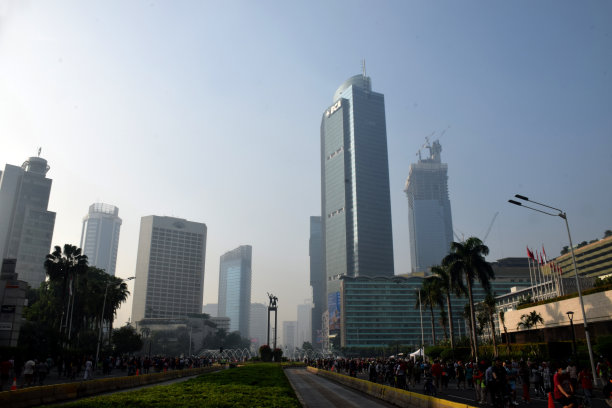 雅加达公交车道，绿意盎然图片下载