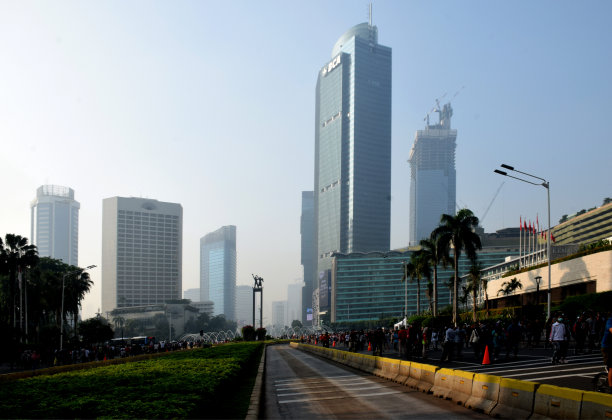 雅加达公交车道，绿意盎然图片下载