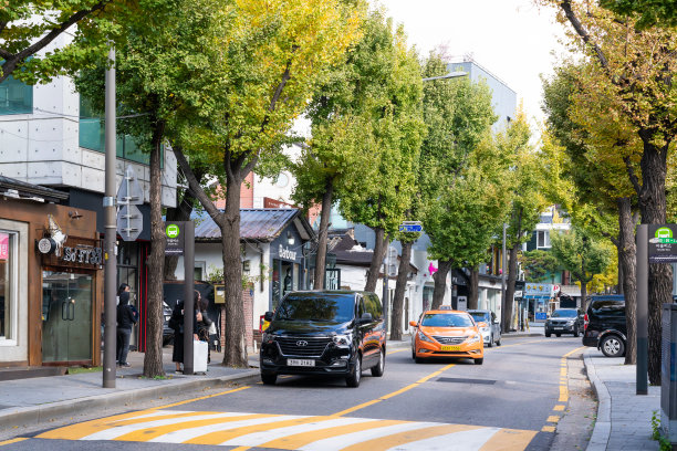 10月24日，韩国首尔，秋季城。当日，韩国首尔，秋季城成为韩国著名旅游景点。图片下载
