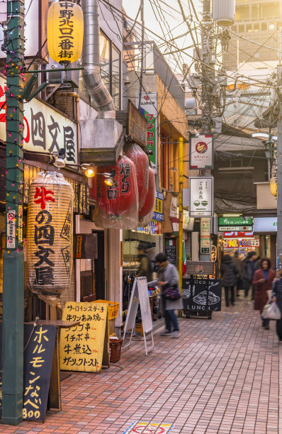 中野站北门的后街，餐馆入口处有很多纸灯笼。图片下载