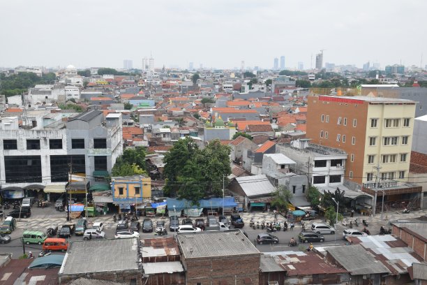 从上面看到的人口密度图片下载