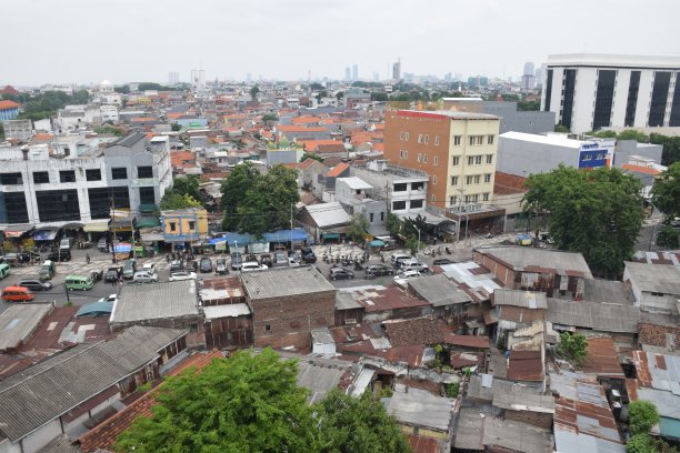 从上面看到的人口密度图片下载