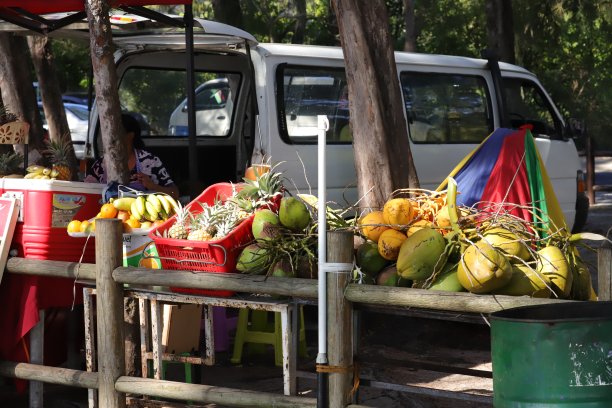 小贩在毛里求斯蒙 choisy 海滩长廊卖椰子图片下载
