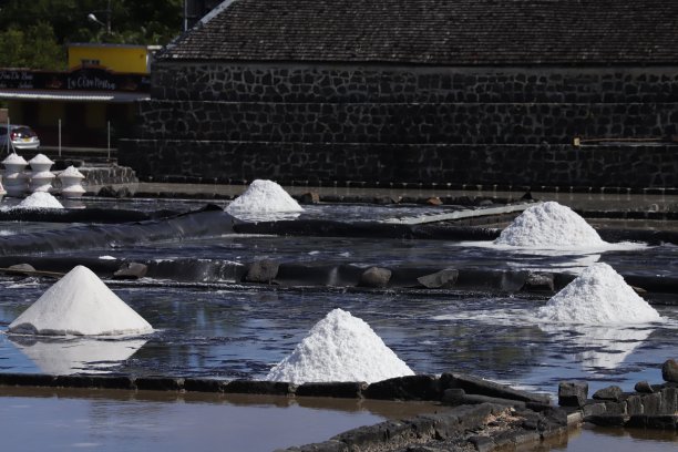 绢毛猴盐田，毛里求斯，印度洋，非洲图片下载