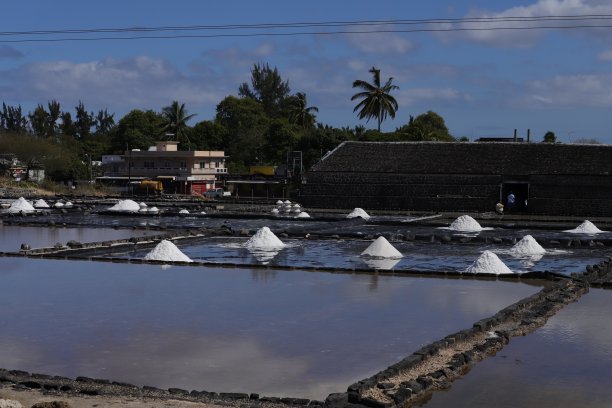 绢毛猴盐田，毛里求斯，印度洋，非洲图片下载