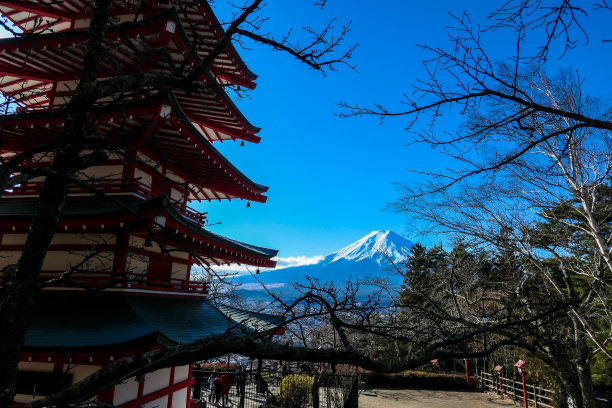 日本-樱花塔与富士山景观图片下载