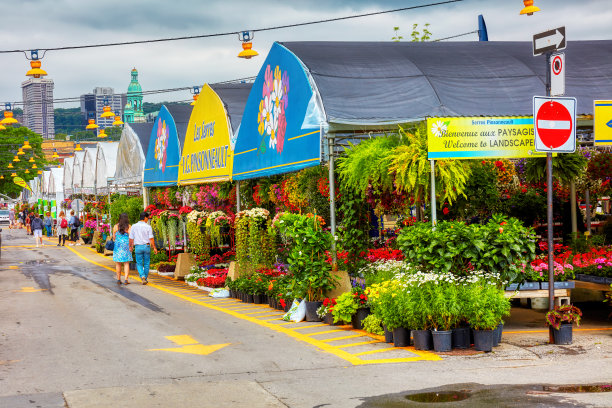 在蒙特利尔阿特沃特市场的温室花店附近散步的人们图片下载