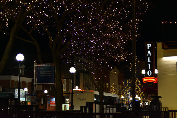 密歇根州安娜堡(威廉姆斯街和南大街)图片下载