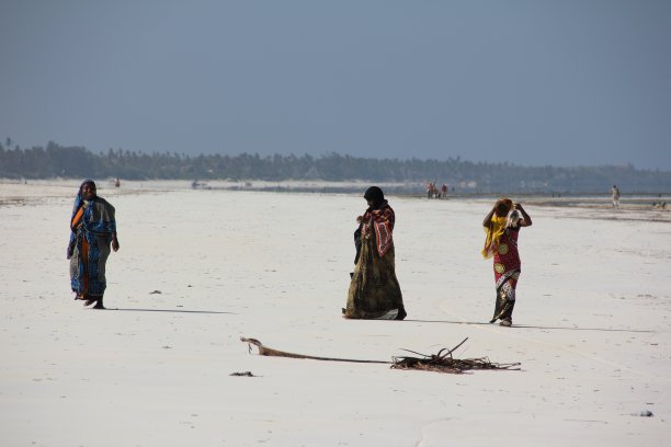 当地穆斯林妇女在姆查加海滩，桑给巴尔，印度洋，非洲图片下载