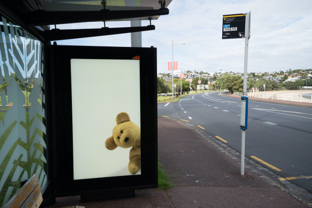 在新冠肺炎封锁期间，新西兰为了让孩子们开心，在公交候车亭囤积泰迪熊的照片。图片下载