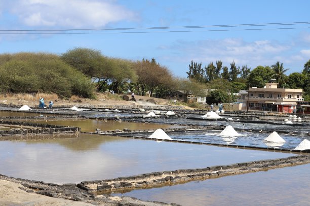 在毛里求斯塔马兰盐田采盐（印度洋，非洲）图片下载