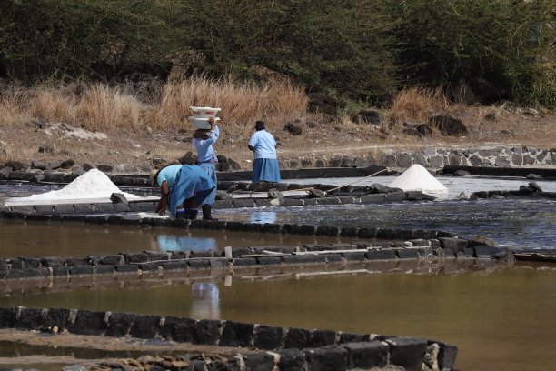 在毛里求斯塔马兰盐田采盐（印度洋，非洲）图片下载