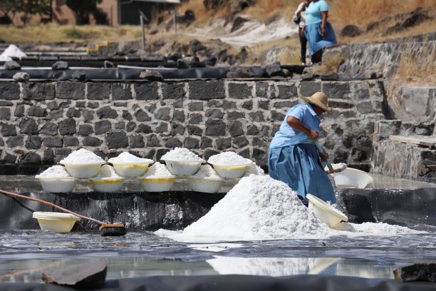 在毛里求斯塔马兰盐田采盐（印度洋，非洲）图片下载