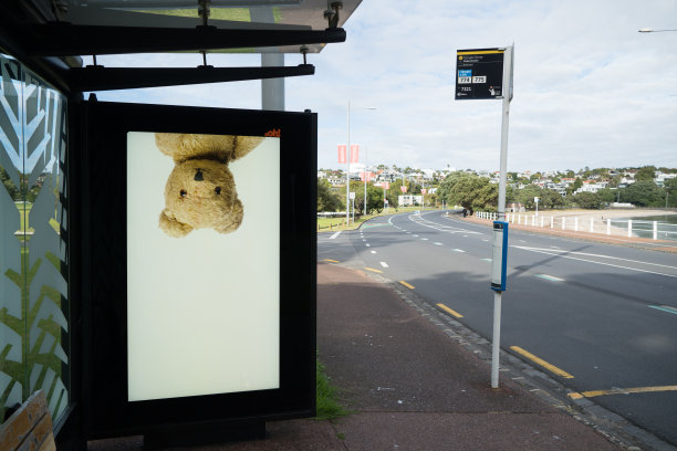 在新冠肺炎封锁期间，新西兰为了让孩子们开心，在公交候车亭囤积泰迪熊的照片。图片下载