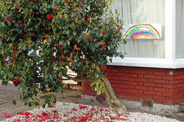 手绘彩虹展示在房子的窗户上图片下载