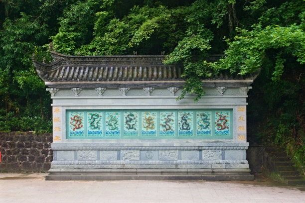 《墙上的九龙图》。图片下载