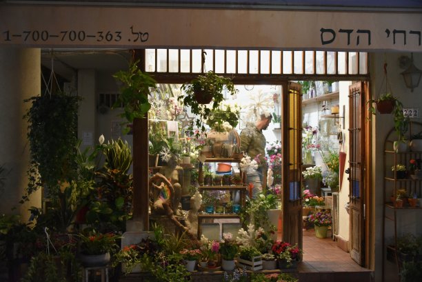 特拉维夫市中心的花店图片下载