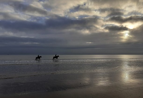 马的轮廓剪影图片下载