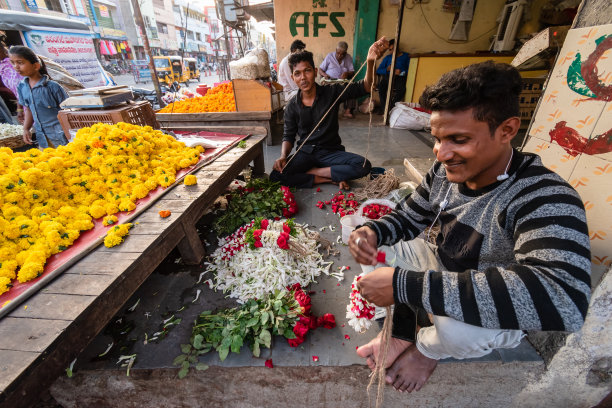 瓦朗加尔 #68图片下载