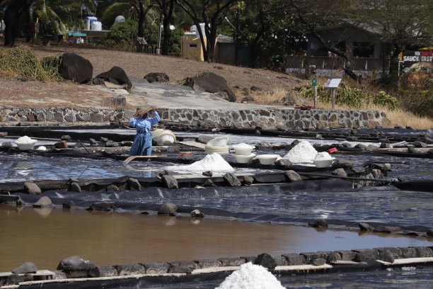 收获在绢毛猴盐田，毛里求斯，印度洋，非洲图片下载