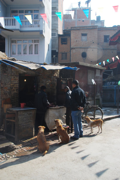 加德满都路边的当地屠宰摊位，顾客和狗到处都是。图片下载