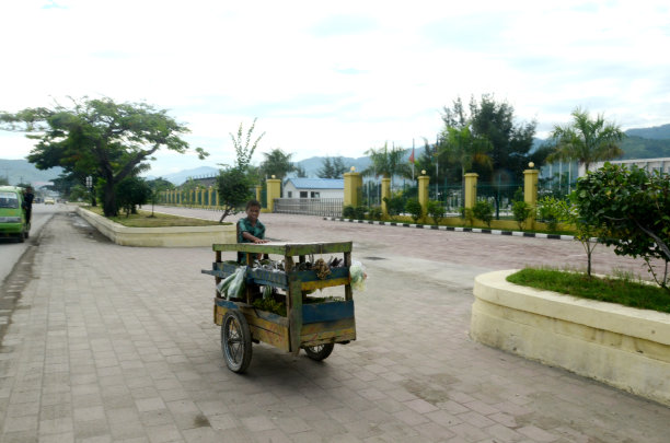 帝力路上的蔬菜商贩图片下载