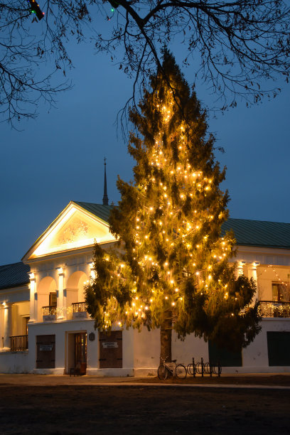 俄罗斯苏兹达尔- 2020年3月7日:苏兹达尔市场的圣诞树，苏兹达尔商场的圣诞树，圣诞节装饰图片下载