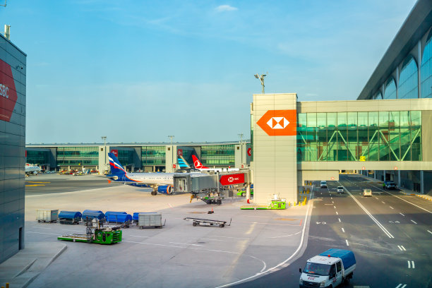 德里国际机场，印度德里。图片下载