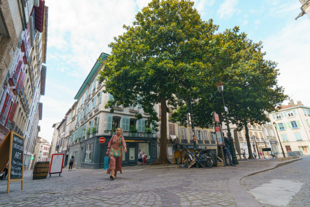 夏日的贝永市景图片下载