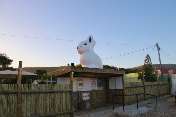 公共汽车站和巨大的白色塑料兔子作为装饰的酒吧。Hermanus,非洲。图片下载