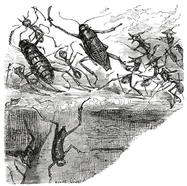 蚂蚁战士冲了进来图片下载