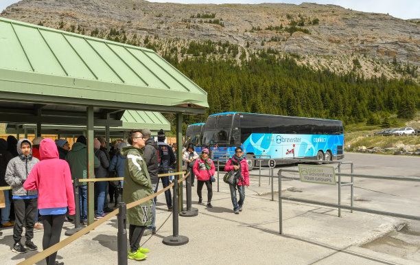 人们等着乘车去参观哥伦比亚冰原图片下载
