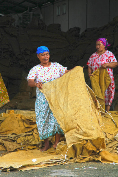 在烟草工厂工作的妇女图片下载
