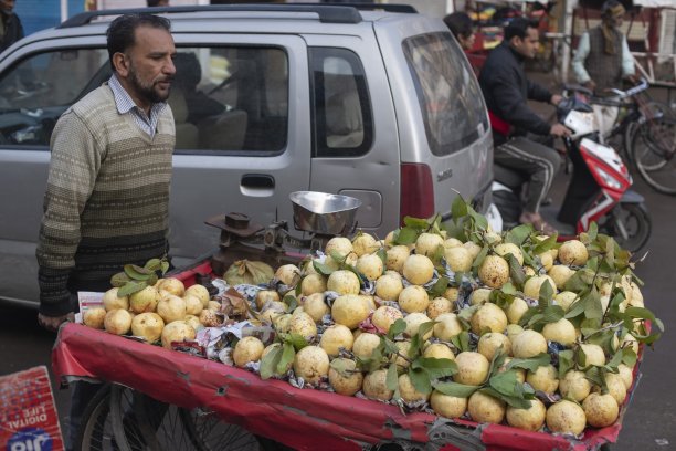 在印度旧德里的街道上，小贩推着装着番石榴的手推车。图片下载