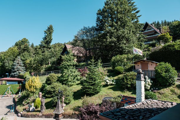 黑森林萨斯巴克瓦尔登的传统半木结构房屋图片下载