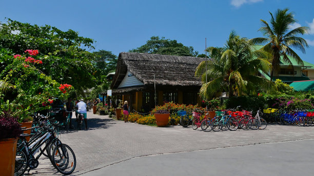 塞舌尔拉迪戈- 2018年10月01日:出租自行车，热带小岛拉迪戈的主要交通工具，位于港口附近的房子。图片下载