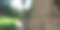 亚洲堡垒遗址供游客参观图片下载